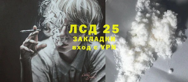 ГАЛЛЮЦИНОГЕННЫЕ ГРИБЫ Алексеевка