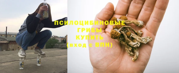 ГАЛЛЮЦИНОГЕННЫЕ ГРИБЫ Алексеевка