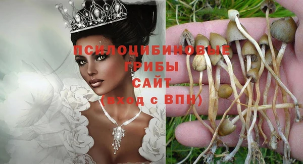 ГАЛЛЮЦИНОГЕННЫЕ ГРИБЫ Алексеевка