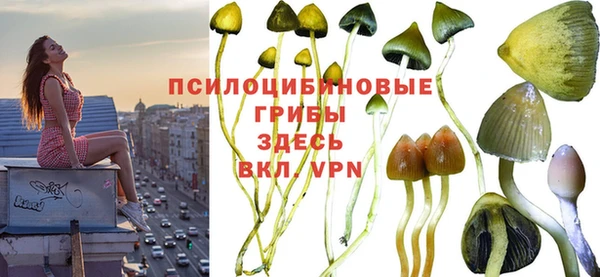 дживик Михайловск