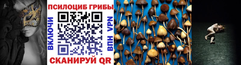 Псилоцибиновые грибы мухоморы  omg маркетплейс  Новоульяновск 
